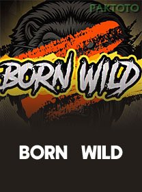 Born Wild game cover